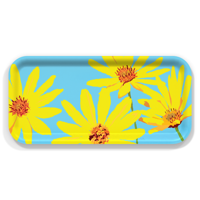 Daisies birchwood decorative serving tray Small 11x5 inch by Alan Claude - Trays4Us