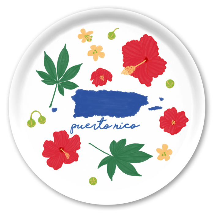 Puerto Rico Fresh birchwood decorative serving tray round 15.7 inch by Jennifer Smelker - Trays4Us