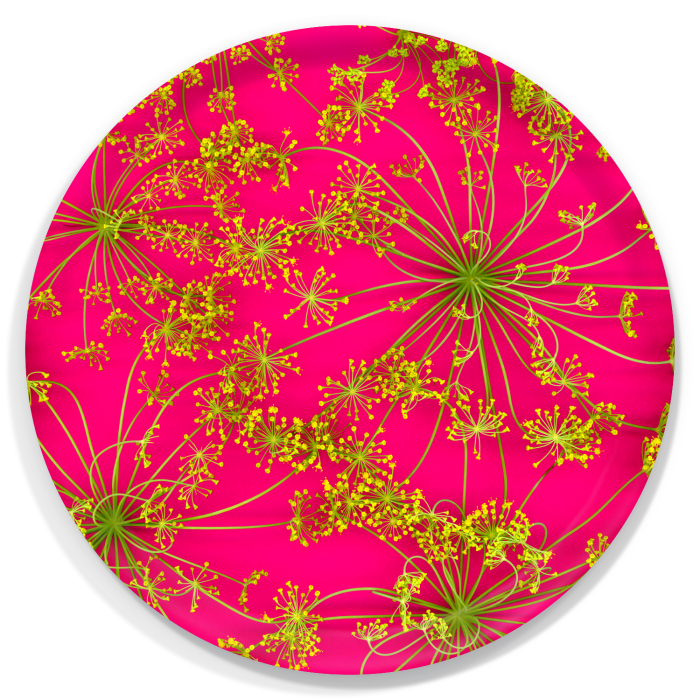 Hot Pink Dill birchwood decorative serving tray round 15.7 inch by Kerry Michaels - Trays4Us