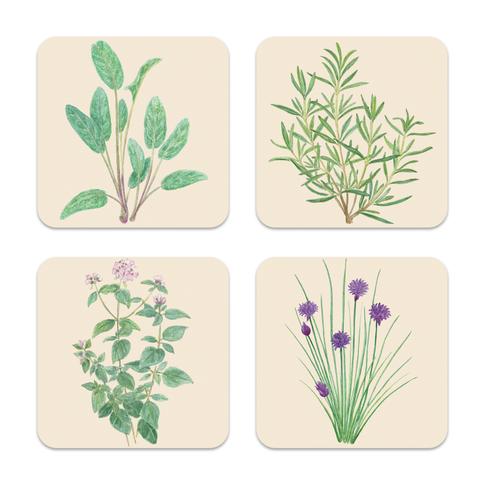 Herbs birchwood 4x4 inch decorative coaster set by Brigida Swanson - Trays4Us