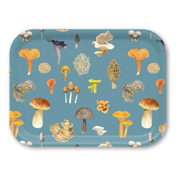 Mushrooms birchwood decorative serving tray medium 11x8 inch by Brigida Swanson - Trays4Us