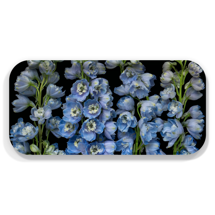 Larkspur birchwood decorative serving tray Small 11x5 inch by Bottle Branch - Trays4Us