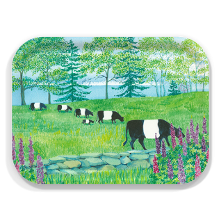 Belted Galloways birchwood decorative serving tray medium 11x8 inch by Anne Kilham - Trays4Us
