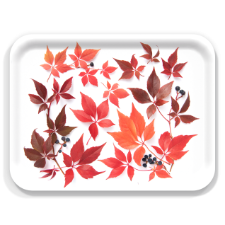 Autumn Virginia Creeper birchwood decorative serving tray large 16.5x12.5 inch by Bottle Branch - Trays4Us