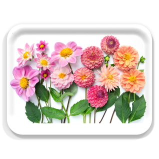 Dahlia Garden birchwood decorative serving tray large 16.5x12.5 inch by Bottle Branch - Trays4Us