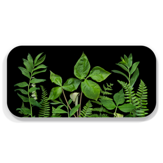Jack in the Pulpit birchwood decorative serving tray Small 11x5 inch by Bottle Branch - Trays4Us