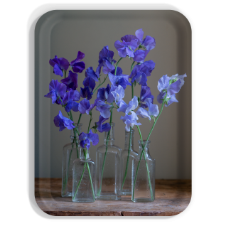 Sweet Peas Flowers birchwood decorative serving tray large 16.5x12.5 inch by Bottle Branch - Trays4Us