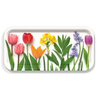Spring Rainbow birchwood decorative serving tray Small 11x5 inch by Bottle Branch - Trays4Us