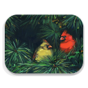 Cardinal in pine tree birchwood decorative serving tray medium 11x8 inch by Alyssa Watters - Trays4Us
