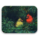 Cardinal in pine tree birchwood decorative serving tray large 16.5x12.5 inch by Alyssa Watters - Trays4Us