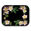 Hellebore birchwood decorative serving tray medium 11x8 inch by Bottle Branch - Trays4Us