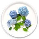Blue Hydrangeas birchwood decorative serving tray round 15.7 inch by Bottle Branch - Trays4Us