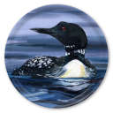 Loon birchwood decorative serving tray round 15.7 inch by Alyssa Watters - Trays4Us