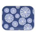 Urchins - Blue birchwood decorative serving tray medium 11x8 inch by Kate Nelligan - Trays4Us
