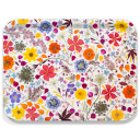 Mandevilla and Daucus birchwood decorative serving tray large 16.5x12.5 inch by Kerry Michaels - Trays4Us