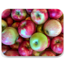 Maine Apples birchwood decorative serving tray large 16.5x12.5 inch by Kerry Michaels - Trays4Us