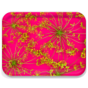 Hot Pink Dill birchwood decorative serving tray large 16.5x12.5 inch by Kerry Michaels - Trays4Us