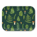 Ferns birchwood decorative serving tray medium 11x8 inch by Brigida Swanson - Trays4Us