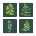 Ferns birchwood 4x4 inch decorative coaster set by Brigida Swanson - Trays4Us