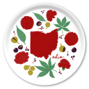 Ohio Fresh birchwood decorative serving tray round 15.7 inch by Jennifer Smelker - Trays4Us