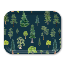 Trees birchwood decorative serving tray medium 11x8 inch by Brigida Swanson - Trays4Us