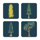 Trees birchwood 4x4 inch decorative coaster set by Brigida Swanson - Trays4Us